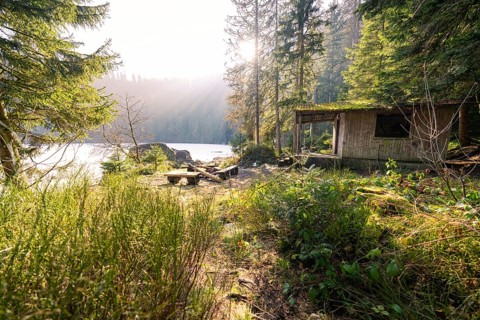 A simple hut on the edge of the forest with a view of a sunny lake, surrounded by forest,