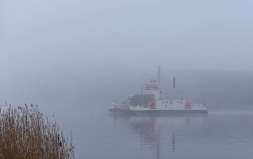 Ferry Hochdonn sailing in fog in the Kiel Canal, NOK, Kiel Canal, Schleswig-Holstein, Germany,