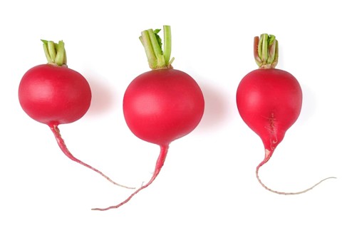 Three fresh red radishes are arranged side by side, each with bright green tops and distinct shapes
