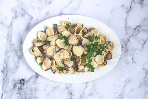 Vongole clams, in cream sauce, on a white plate, homemade, top view, no people