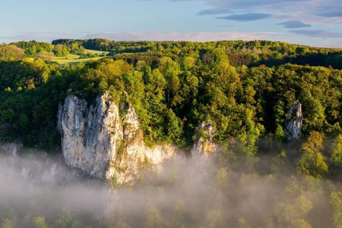 Limestone rock between mixed forest, fog, oak rock, Irndorf, Upper Danube nature park Park,