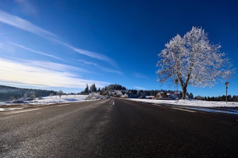 Federal road B500, winter landscape, free-standing snow-covered tree, deep blue sky with veil