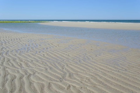 Beach at low tide with wave-like structure, current ripples in wet sand, blue sky, North Sea,