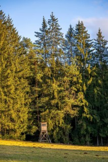 Ladscape of an Edge of the forest with a hunting stand, Lengenbach, Deining, Upper Palatinate,