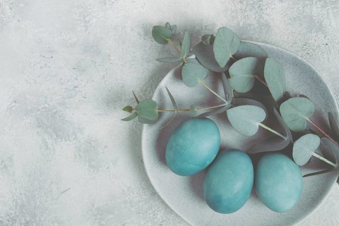 Easter colored eggs, in turquoise tones, on a gray plate, with a branch of eucalyptus, Easter card,
