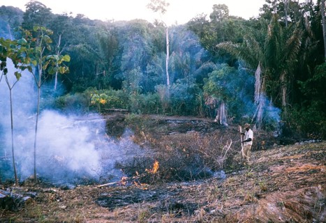 Burning bush vegetation to clear land for agriculture at Balandra, Trinidad 1963