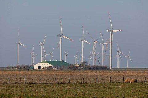 Farm, wind farm, wind power plants, sheep, Reußenköge, North Frisia, Schleswig-Holstein, Germany,