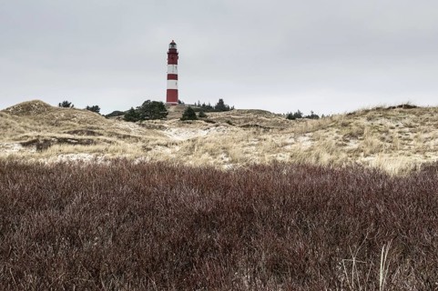 Dune landscape with lighthouse, Süddorf, Amrum, Schleswig-Holstein, Germany, Europe