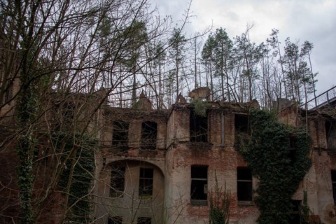 Remains of a destroyed building with empty window openings, surrounded by bare trees,