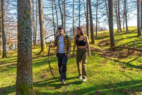 Hikers savoring a sunny day while walking along a scenic forest trail, surrounded by vibrant trees