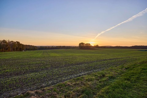 Cultural landscape, trees, sunset, backlight of the sun, Hanstedt in der Nordheide, Lüneburger