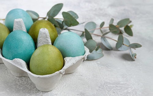 Easter colored eggs, in green and turquoise tones, with eucalyptus leaves, Easter card, top view,