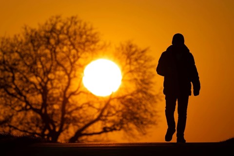 A man walks along a country lane near Frankfurt am Main at sunset, Frankfurt am Main, Hesse,