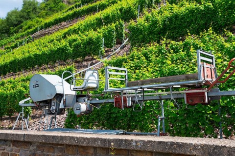 Mechanical vineyard machine in the middle of green vineyard slopes, monorack railway for overcoming