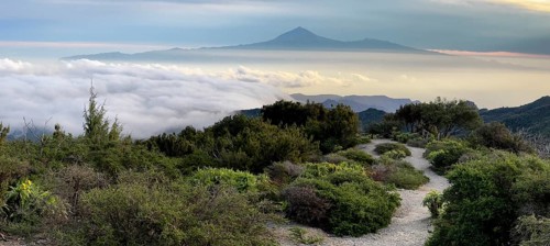 Sunrise, view of Mount Teide from Alto de Garajonay, Tenerife, Garajonay National Park, La Gomera,