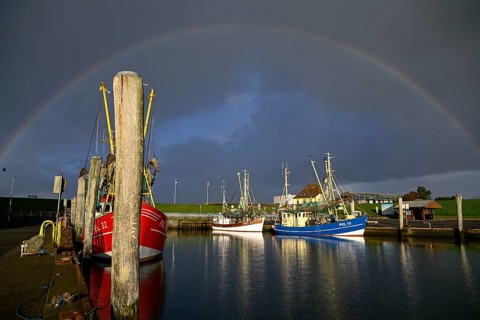 Fishing boats in the harbour of Tammensiel, rainbow, Pellworm Island, Schleswig-Holstein Wadden Sea