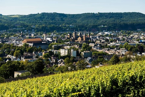 Panorama, Trier, Rhineland-Palatinate, Germany, Europe