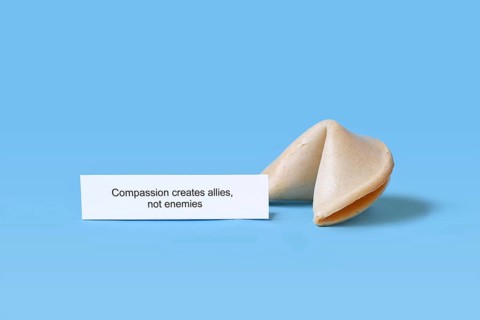 Fortune cookie with motivational text saying 'Compassion creates allies, not enemies on blue