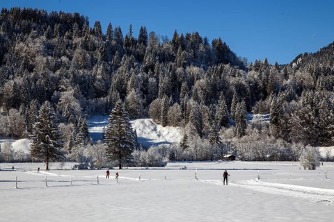 Winter landscape in the snow, cross-country skier on cross-country trail through snowy landscape,