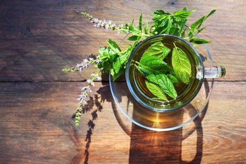 Herbal tea from fresh peppermint leaves and flowers in a glass cup on a rustic wooden table, high