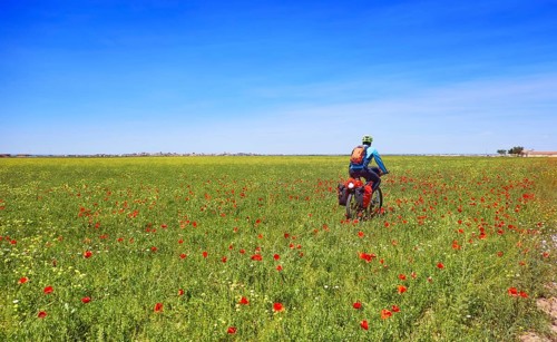 Biker by Camino de Santiago in bicycle at Saint James Way of Levante of Spain