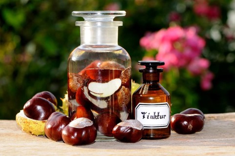 (Aesculus hippocastanum), chestnut, horse chestnut tincture