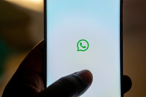 WhatsApp logo messenger app on a mobile phone