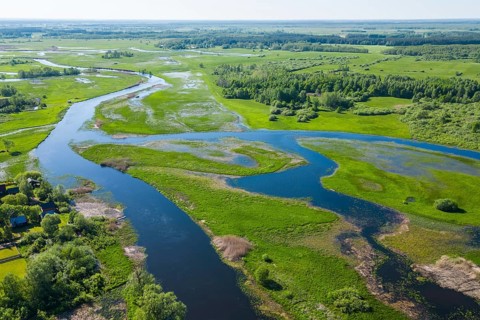 Biebrza National Park, photo with drone, wetland, river, Poland, Europe