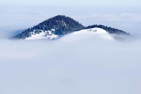 Wooded hills with snow rising from fog in winter, Mangfall mountains, Upper Bavaria, Bavaria,