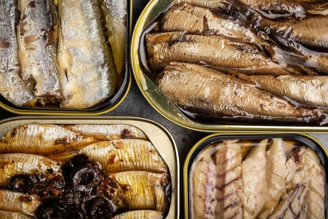 Assorted canned fish in a tin over gray concrete background: sardine, smoked sardine, mackerel.