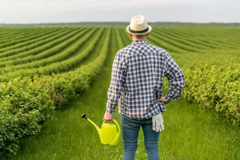 Man farmland with watering can