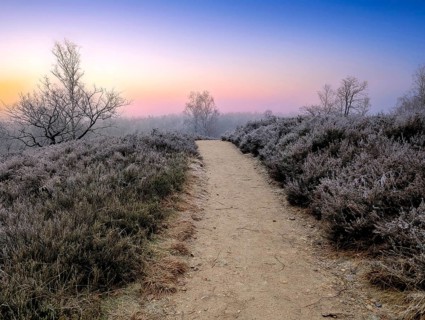 Hiking in winter in the frost in the Fischbeker Heide in Hamburg, on the Heidschnuckenweg trail