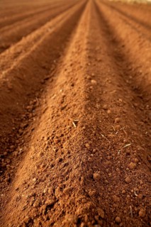Ploughed red clay soil agriculture fields ready to sow