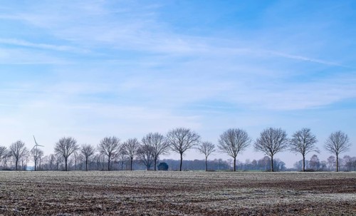 Winter landscape in the Münsterland