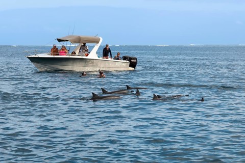 Tourists swimming, snorkelling with dolphins, spinner dolphin (Stenella longirostris), spinner