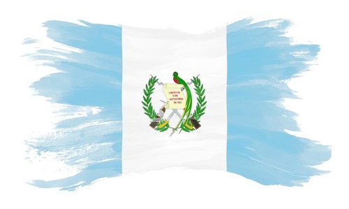 Guatemala flag brush stroke, national flag on white background