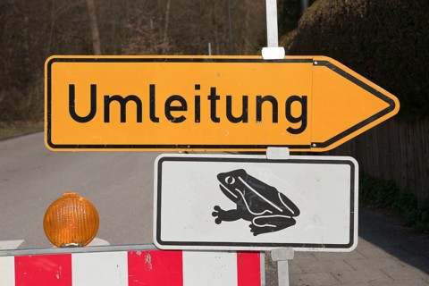 Road closure due to toad migration, Munich, Bavaria, toad migration, amphibian migration, Germany,