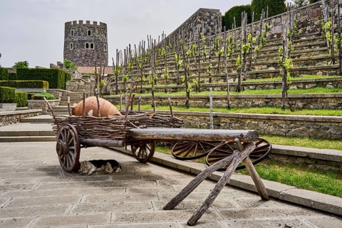 Old cart with a quevri, Kvevri, vineyard of the Rabati castle complex, Akhaltsikhe castle,