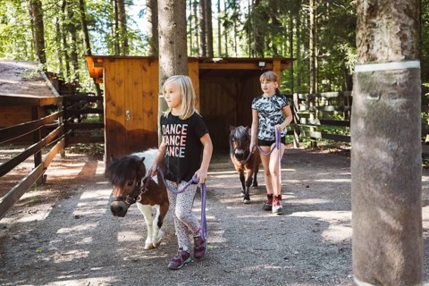 Children walking with ponies, small horses, holding them for a leash. Cute mini horses walking with