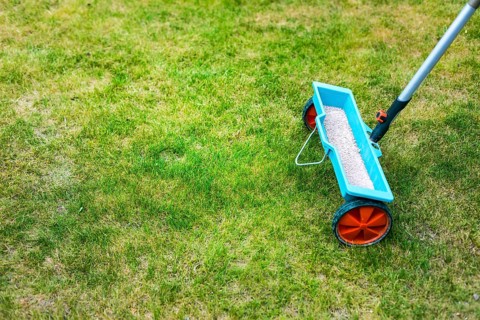 Lawn care - Lawn Spring Fertilization tool