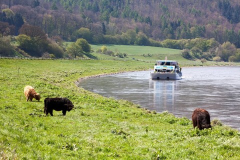 Boat trip on the River Weser near Oberweser, between Gewissenruh, Wahmbeck, Weser Uplands,