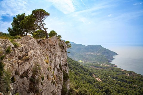 An impressive panorama of a rock face with trees above a coastline and the blue sea, view over