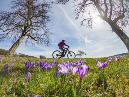 Cheerful young woman riding her electric mountain bike in a meadow with colourful blossoming