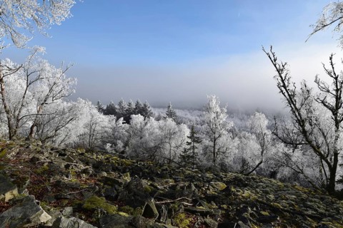 View from the summit ridge of the Mörschieder Burr in the Hunsrück-Hochwald National Park with