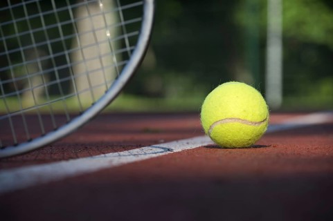 Low angle view tennis scene with yellow ball near racquet and white line in a sports and healthy