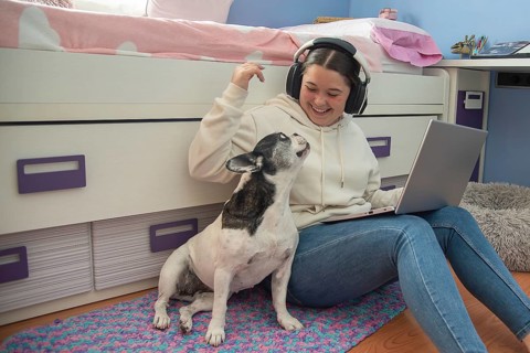 A teenager enjoys a moment of leisure in her room, working on her laptop and playing with her dog,