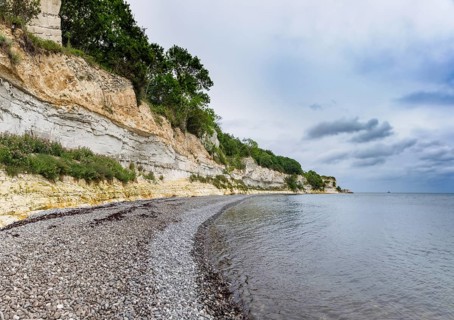 Stevns Klint, cliff on the Baltic Sea on Zealand, Denmark, Europe