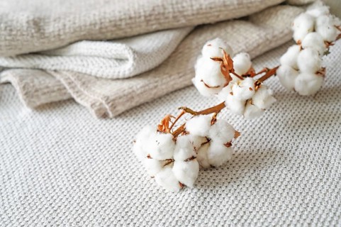 Neutral colored fabrics made from ecofriendly grown cotton and a branch with fluffy balls, concept