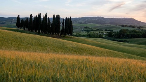 Val d'orcia, landscape, italy