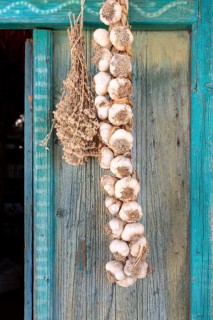 Garlic bulbs braided into a plait, hanging